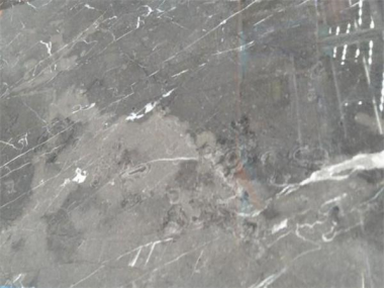 Alyvuogių pilkas marmuras