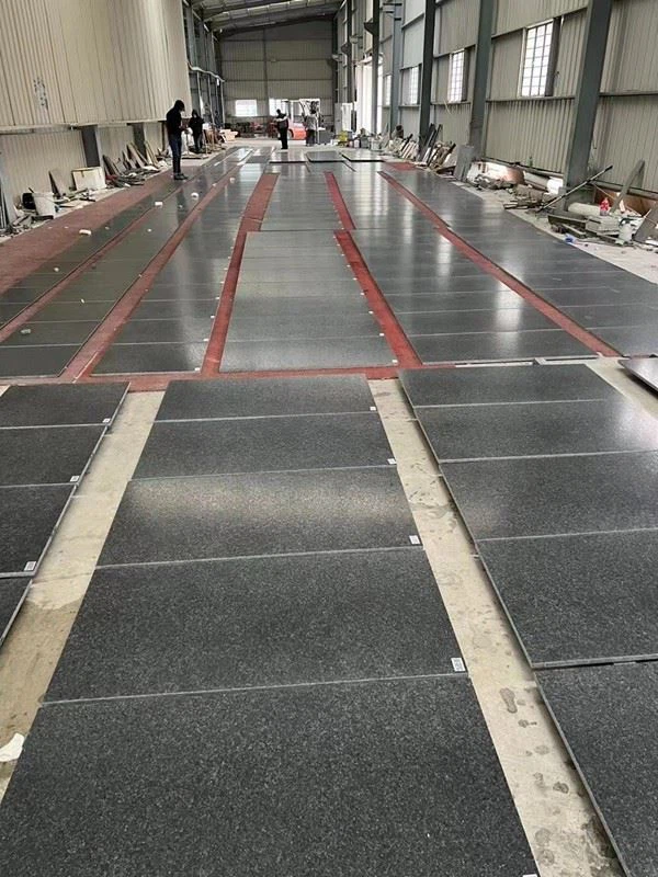 angola black leathered granite tiles